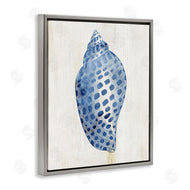 Susan Arnot | Spotted Blue Cowrie Shell