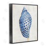 Susan Arnot | Spotted Blue Cowrie Shell