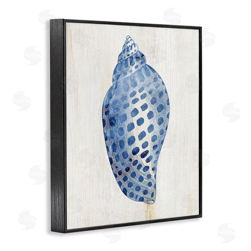 Susan Arnot | Spotted Blue Cowrie Shell