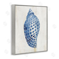 Susan Arnot | Spotted Blue Cowrie Shell
