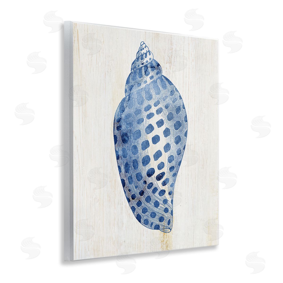 Spotted Blue Cowrie Shell Wood Plaque Wall Art, Home Decor by Susan Arnot