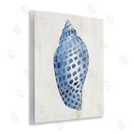 Susan Arnot | Spotted Blue Cowrie Shell