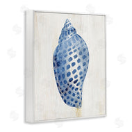 Susan Arnot | Spotted Blue Cowrie Shell