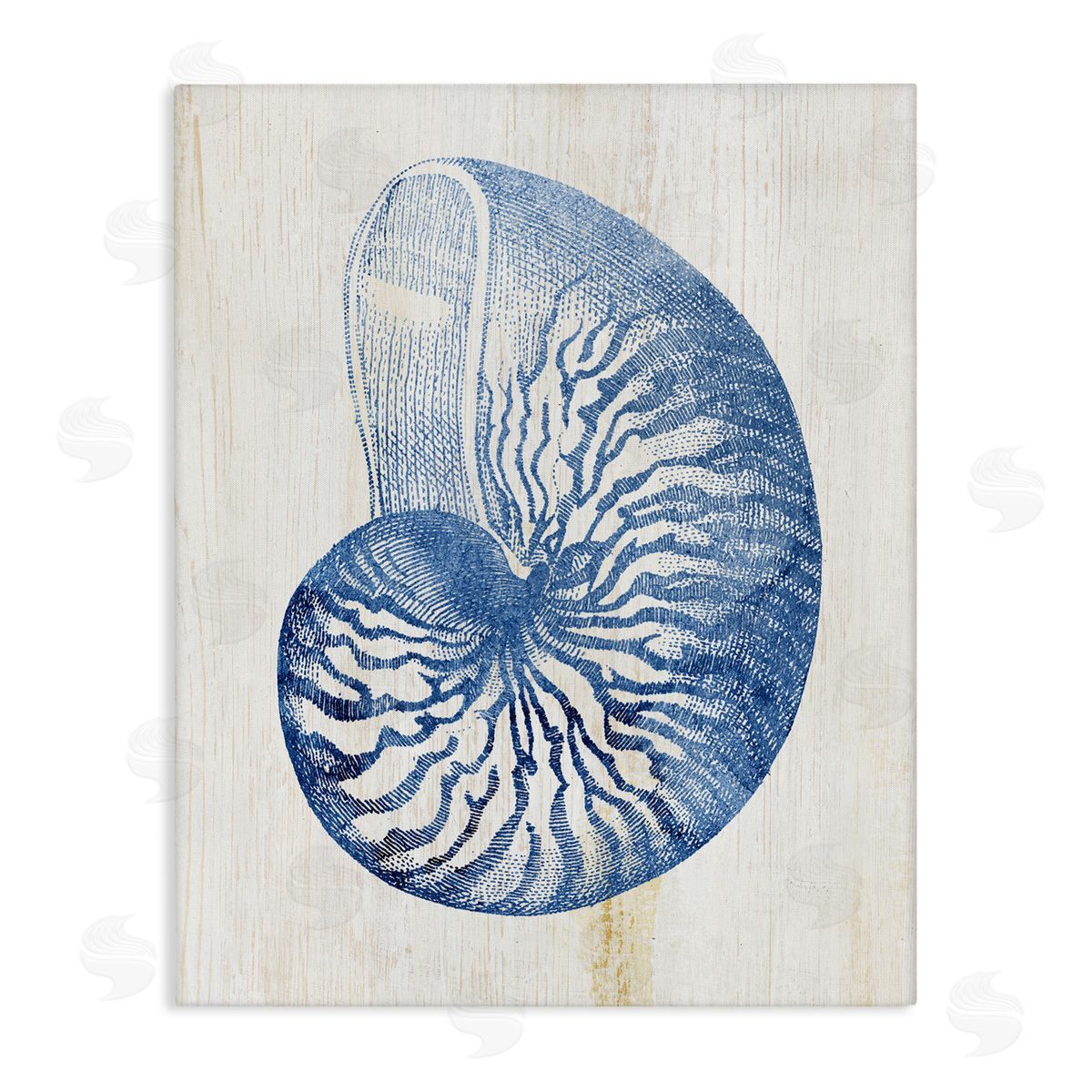 Blue Nautilus Shell Canvas Wall Art, Home Decor by Susan Arnot
