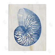 Susan Arnot | Blue Nautilus Shell