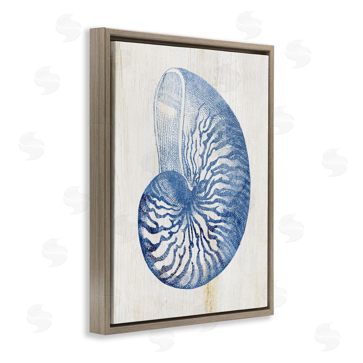 Blue Nautilus Shell Brown Floating Frame Canvas Wall Art, Home Decor by Susan Arnot