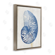 Susan Arnot | Blue Nautilus Shell