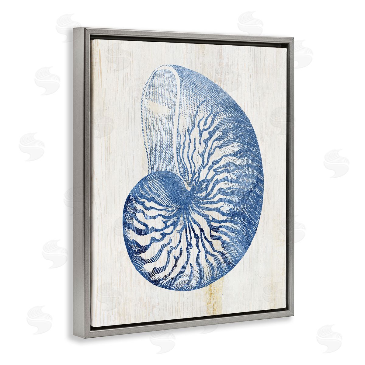 Blue Nautilus Shell Grey Floating Frame Canvas Wall Art, Home Decor by Susan Arnot