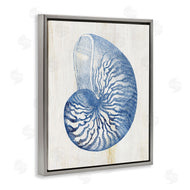 Susan Arnot | Blue Nautilus Shell