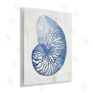 Susan Arnot | Blue Nautilus Shell