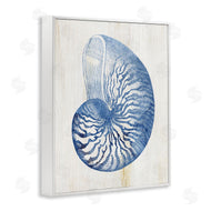 Susan Arnot | Blue Nautilus Shell