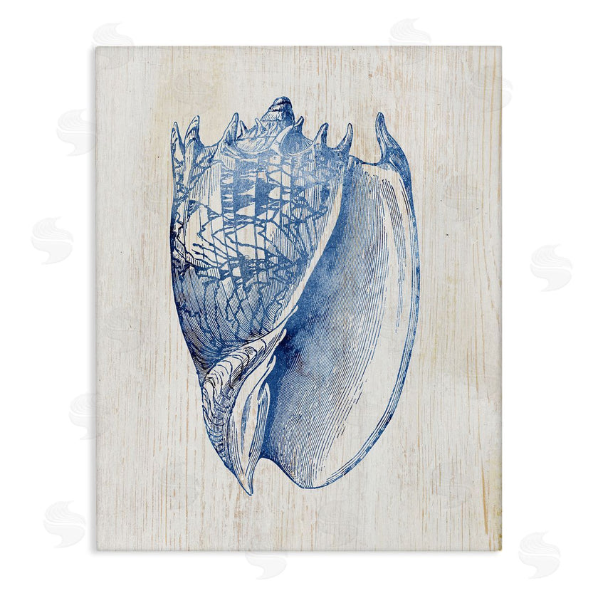 Susan Arnot | Nautical Soft Blue Conch