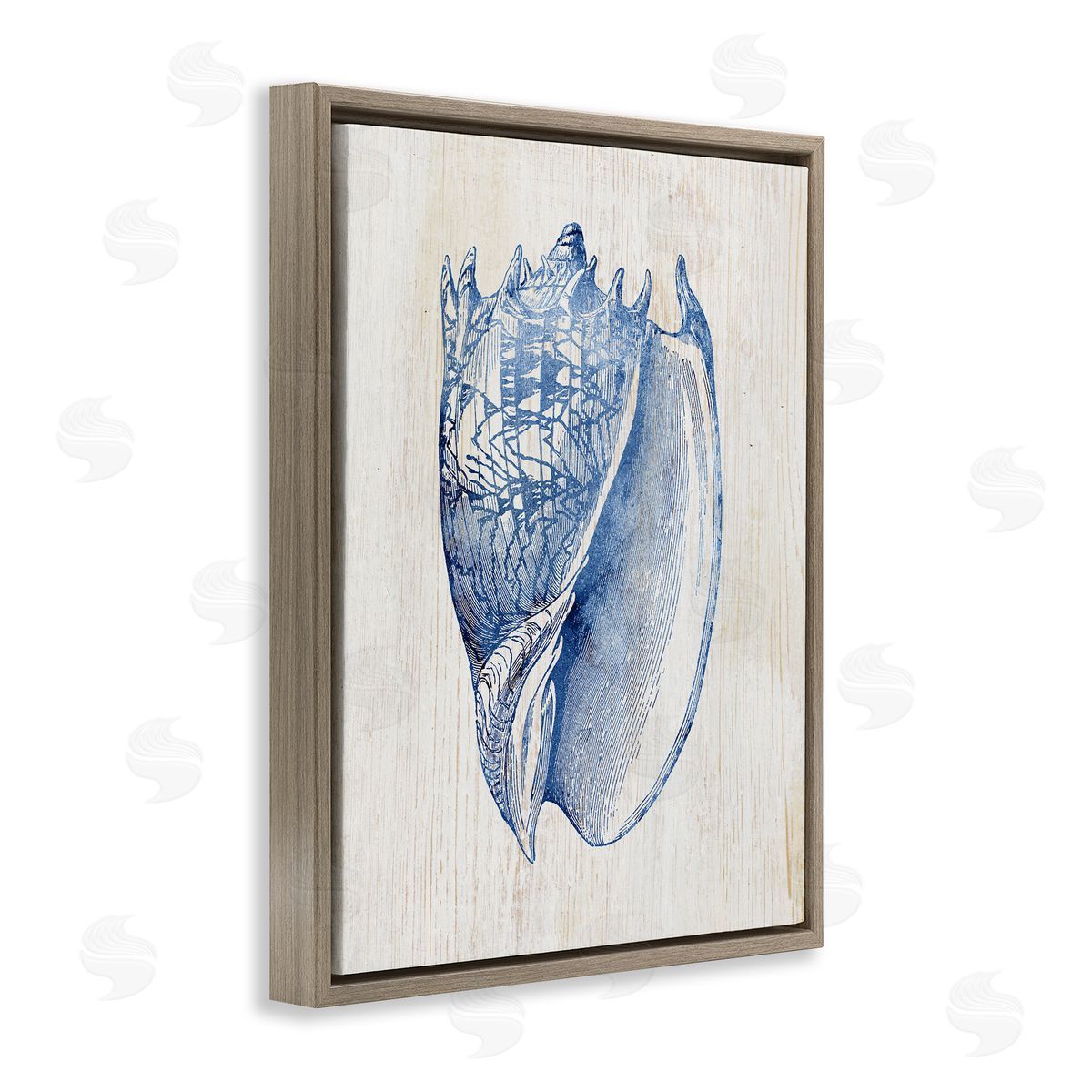 Nautical Soft Blue Conch Brown Floating Frame Canvas Wall Art, Home Decor by Susan Arnot