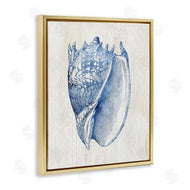 Susan Arnot | Nautical Soft Blue Conch
