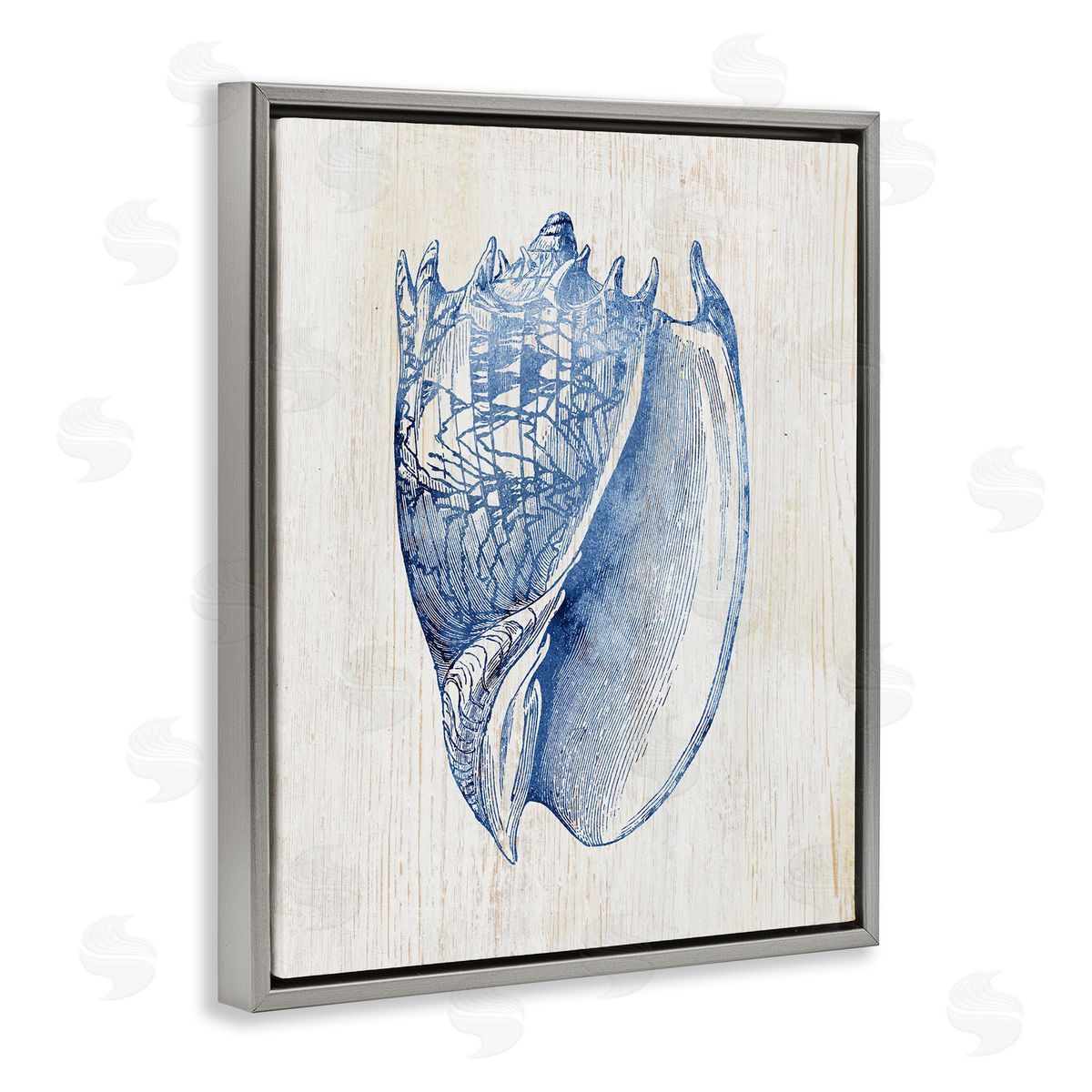 Nautical Soft Blue Conch Grey Floating Frame Canvas Wall Art, Home Decor by Susan Arnot