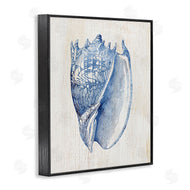 Susan Arnot | Nautical Soft Blue Conch