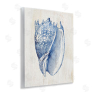 Susan Arnot | Nautical Soft Blue Conch