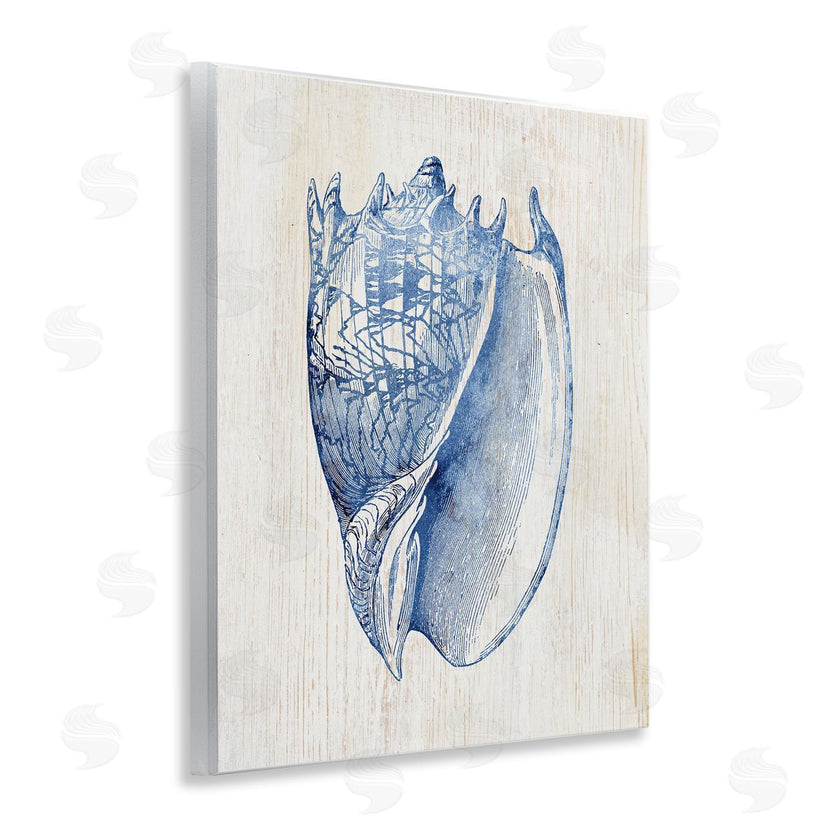 Susan Arnot | Nautical Soft Blue Conch