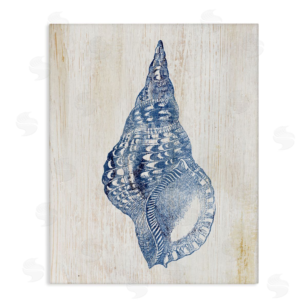 Tranquil Blue Shell Canvas Wall Art, Home Decor by Susan Arnot