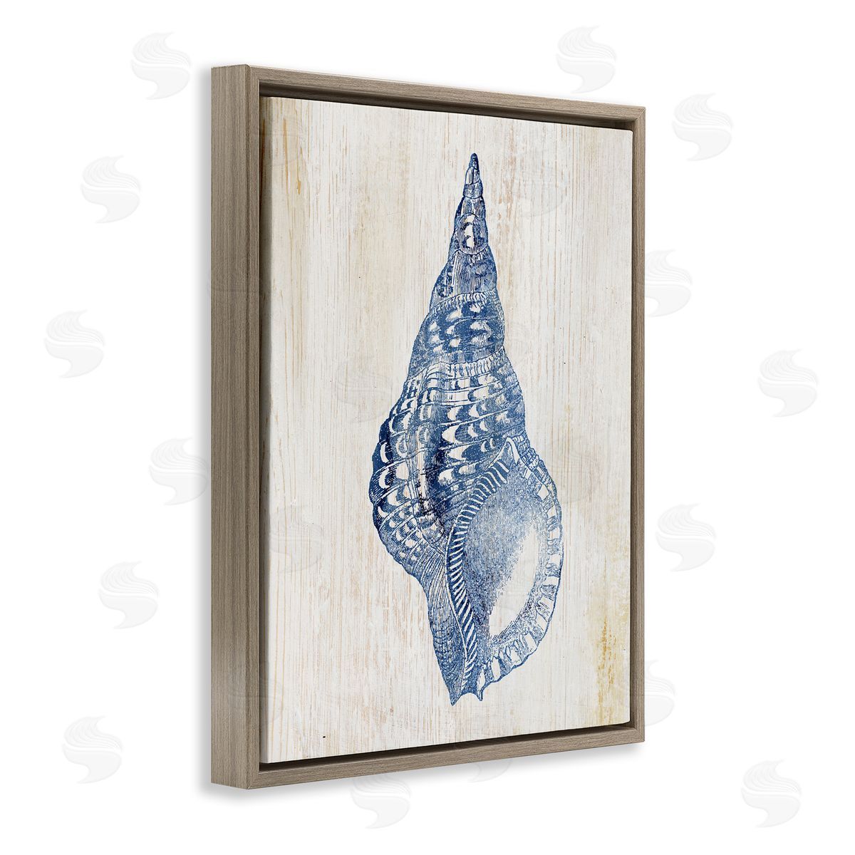 Tranquil Blue Shell Brown Floating Frame Canvas Wall Art, Home Decor by Susan Arnot