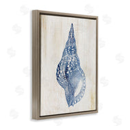 Susan Arnot | Tranquil Blue Shell