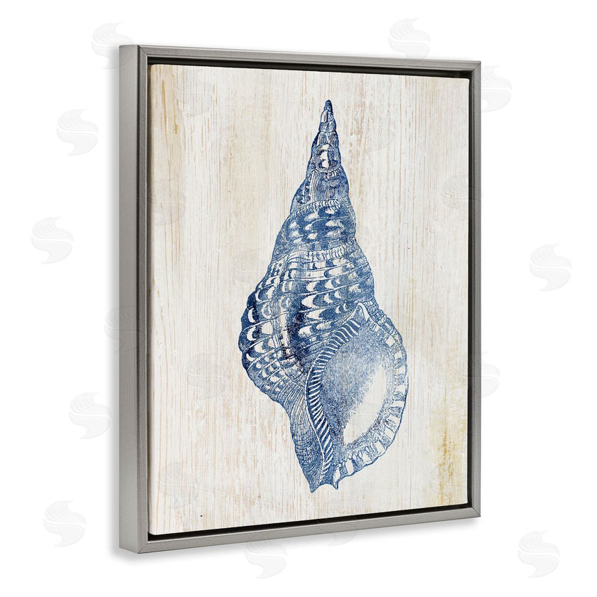 Susan Arnot | Tranquil Blue Shell