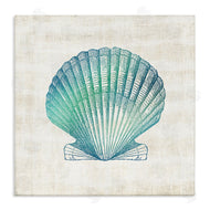 Susan Arnot | Gradient Clam Seashell