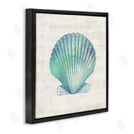 Susan Arnot | Gradient Clam Seashell
