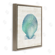 Susan Arnot | Gradient Clam Seashell