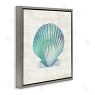 Susan Arnot | Gradient Clam Seashell