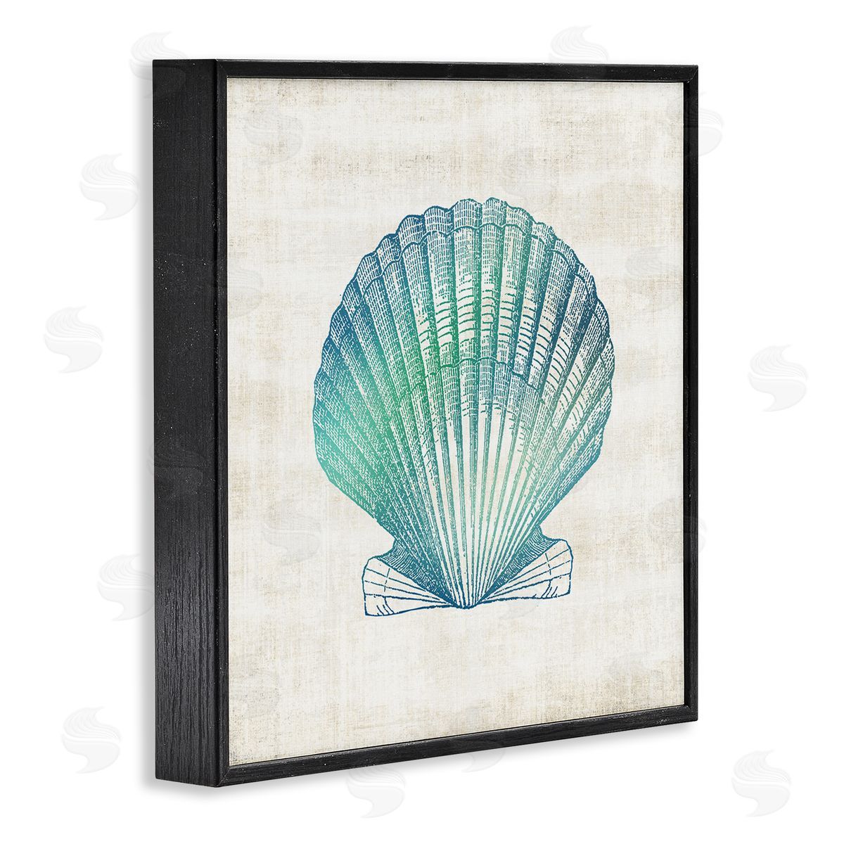 Gradient Clam Seashell Black Frame Print Wall Art, Home Decor by Susan Arnot