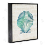 Susan Arnot | Gradient Clam Seashell