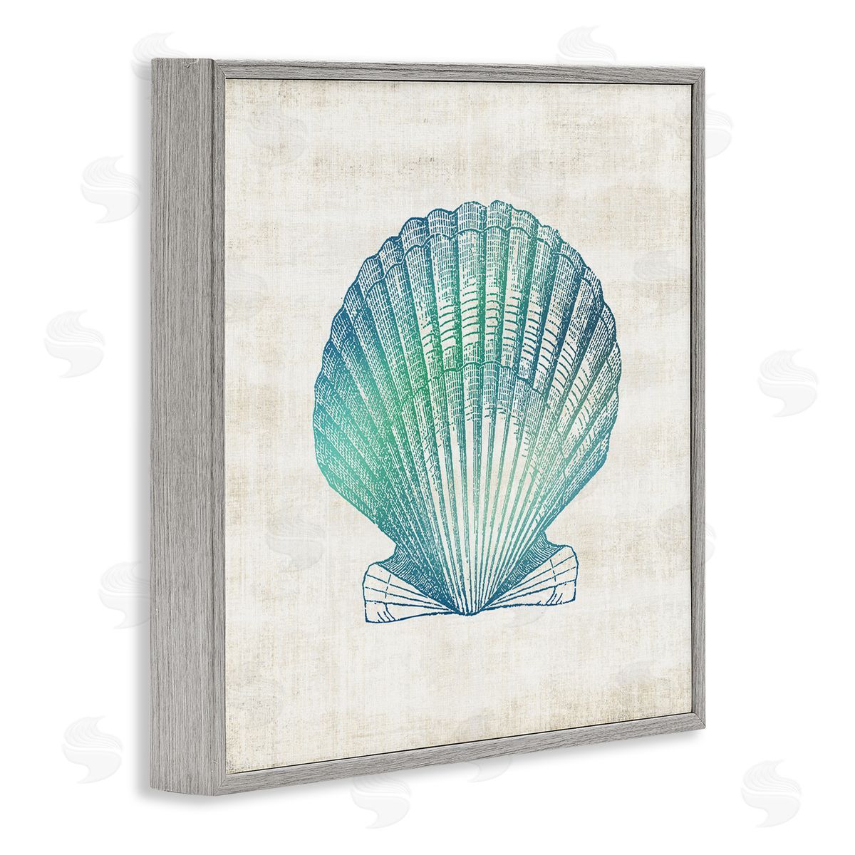 Gradient Clam Seashell Grey Frame Print Wall Art, Home Decor by Susan Arnot