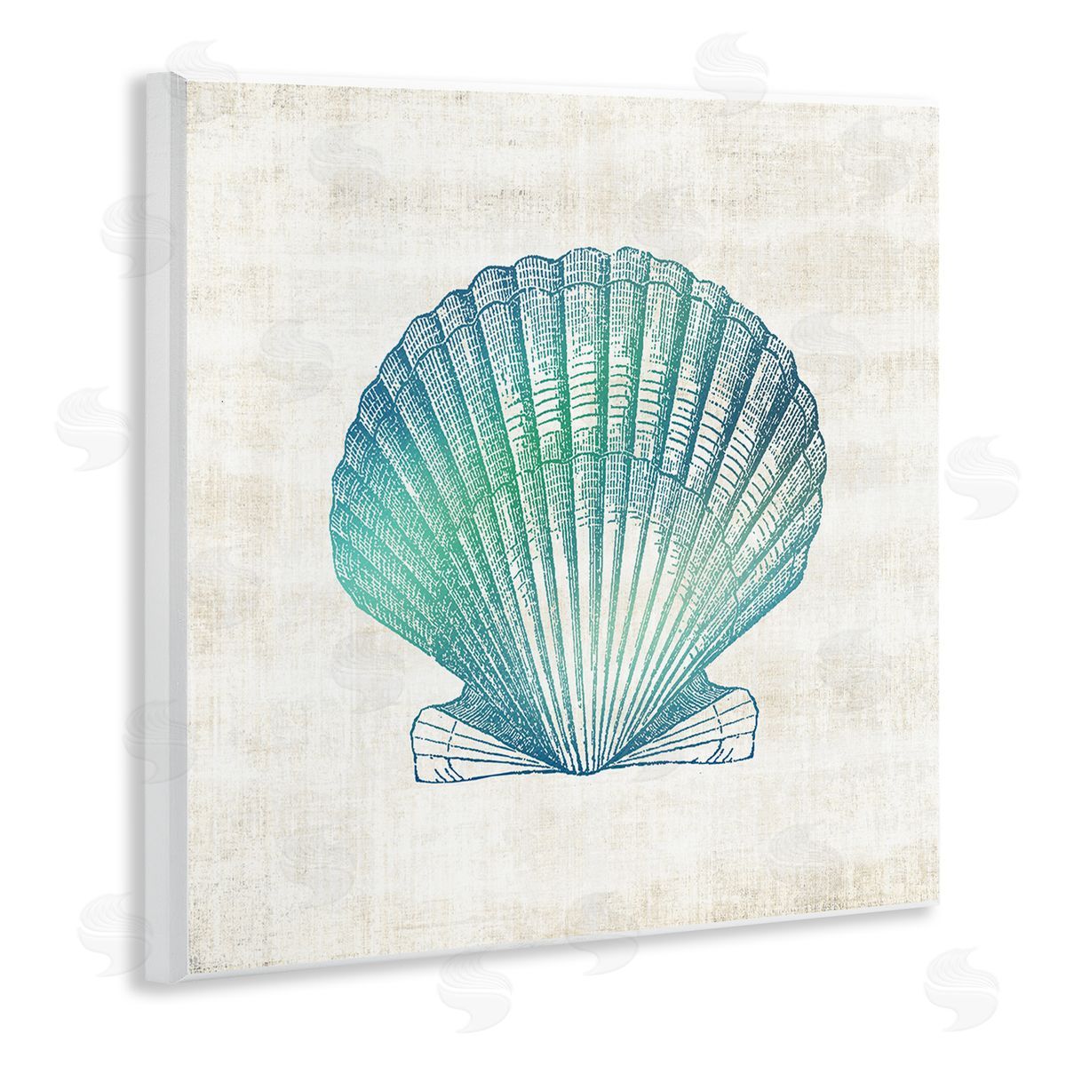 Gradient Clam Seashell Wood Plaque Wall Art, Home Decor by Susan Arnot