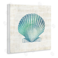Susan Arnot | Gradient Clam Seashell