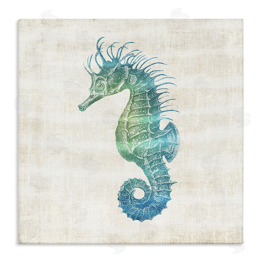 Susan Arnot | Ombre Seahorse Expression