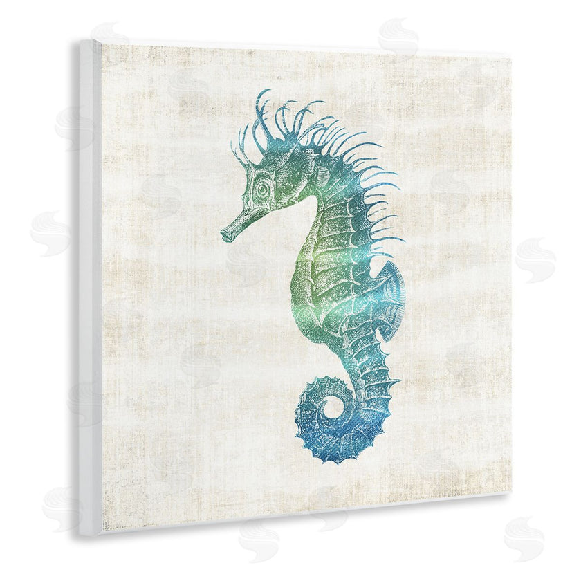 Susan Arnot | Ombre Seahorse Expression