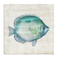Susan Arnot | Fish Impression Sea Life