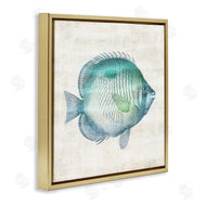 Susan Arnot | Fish Impression Sea Life