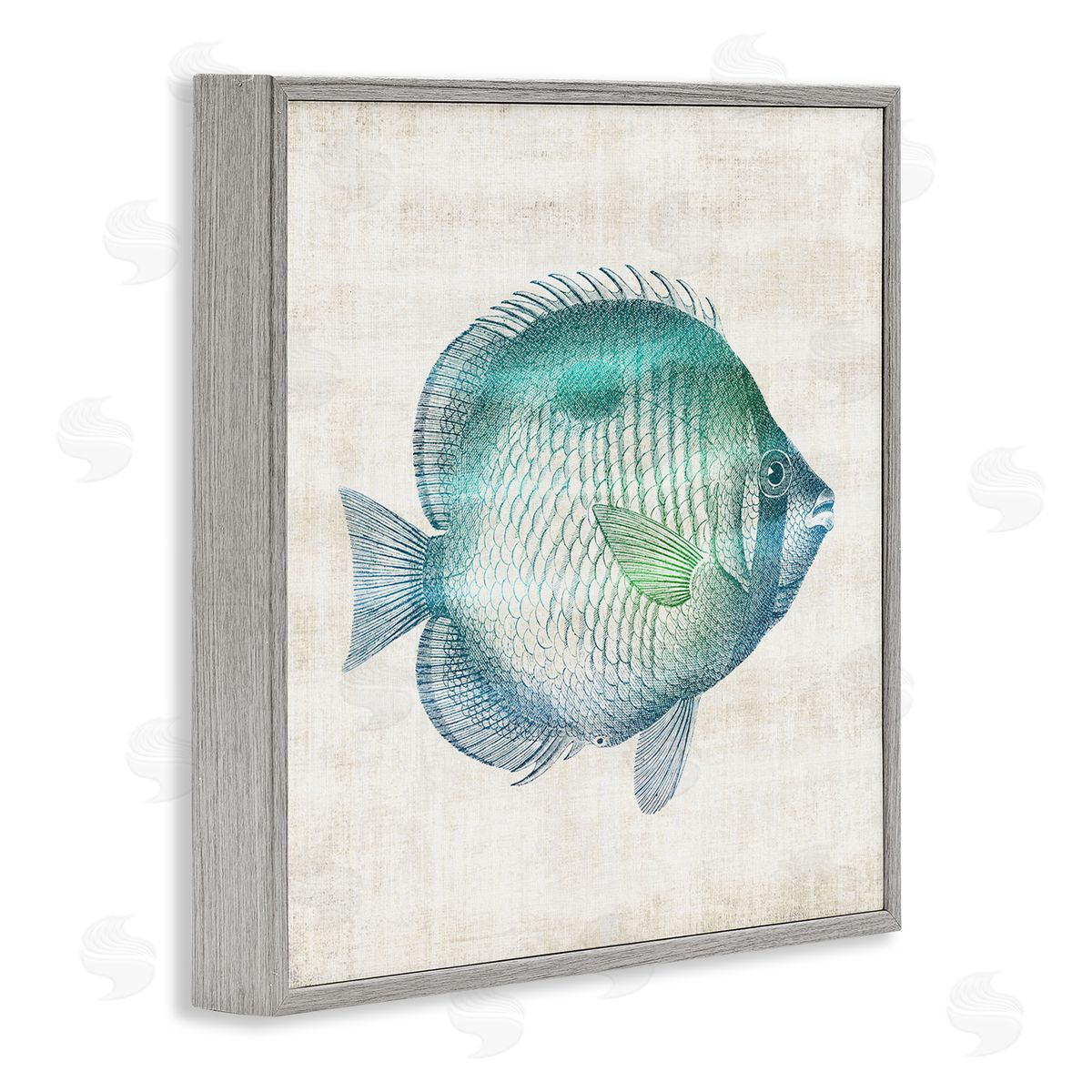 Fish Impression Sea Life Grey Frame Print Wall Art, Home Decor by Susan Arnot