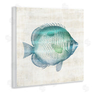 Susan Arnot | Fish Impression Sea Life