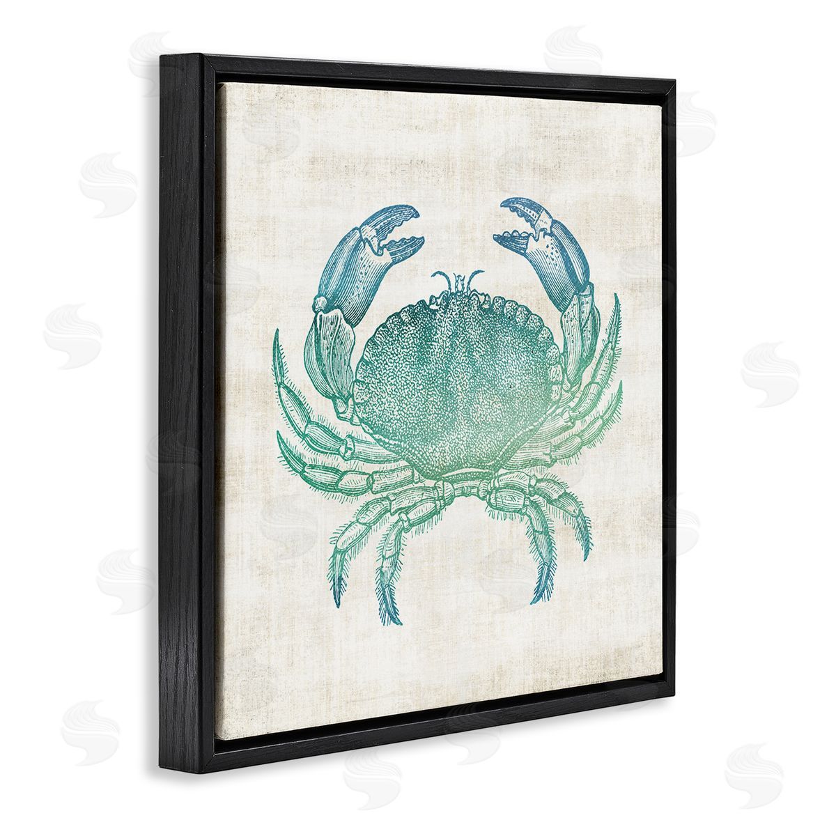 Ombre Crab Impression Black Floating Frame Canvas Wall Art, Home Decor by Susan Arnot