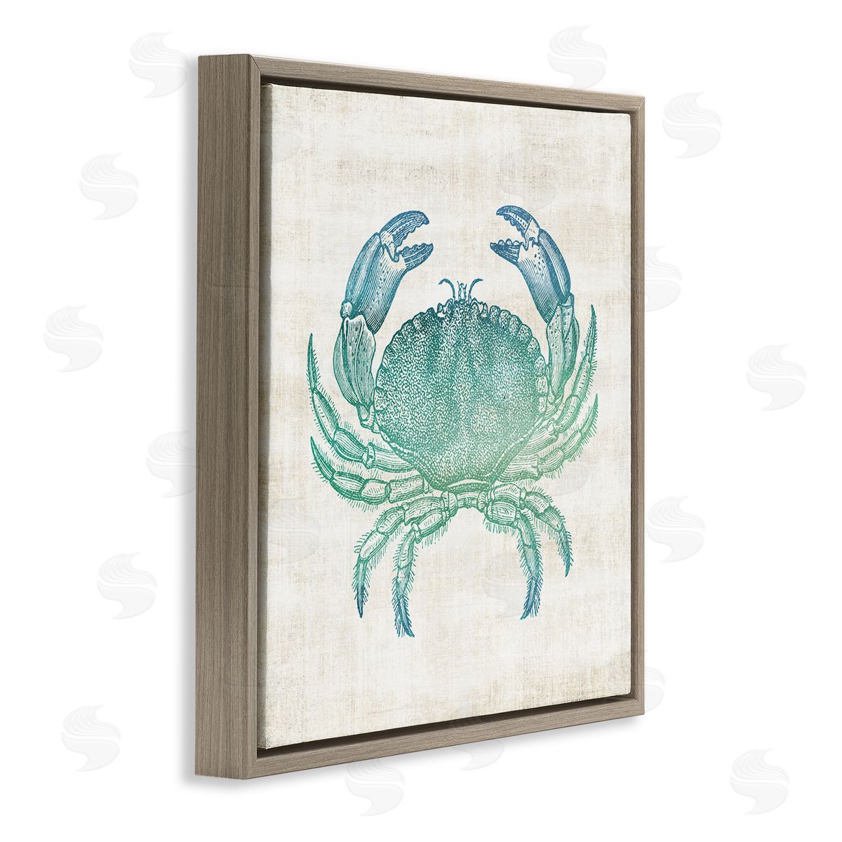 Ombre Crab Impression Brown Floating Frame Canvas Wall Art, Home Decor by Susan Arnot