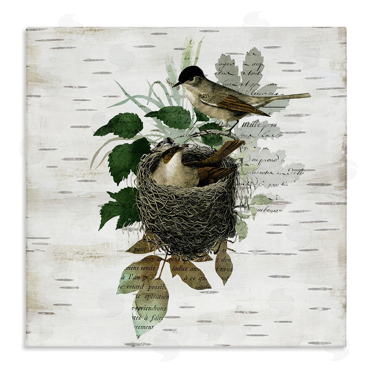 Birds in Vintage Nest Canvas Wall Art, Home Decor by Susan Arnot