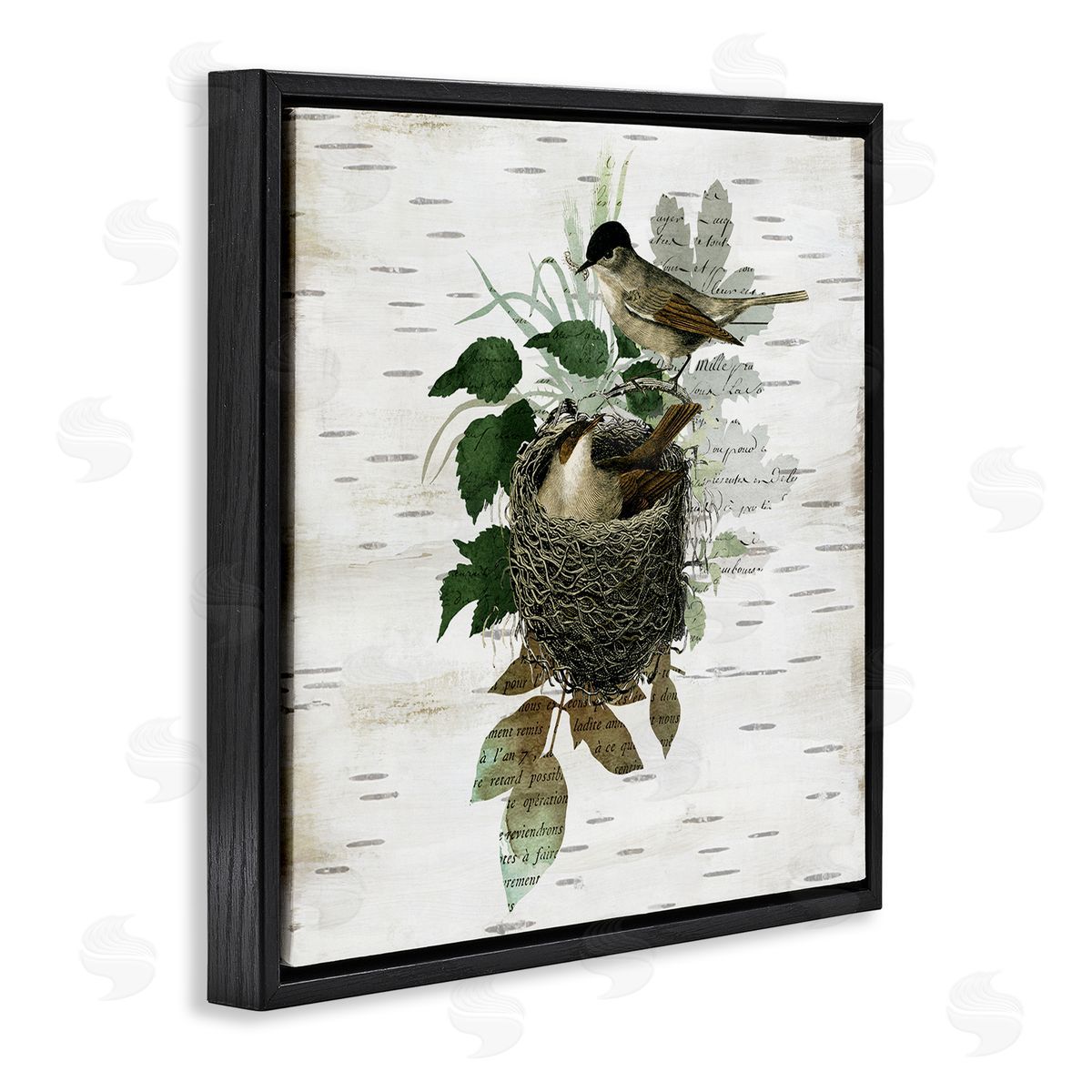 Birds in Vintage Nest Black Floating Frame Canvas Wall Art, Home Decor by Susan Arnot