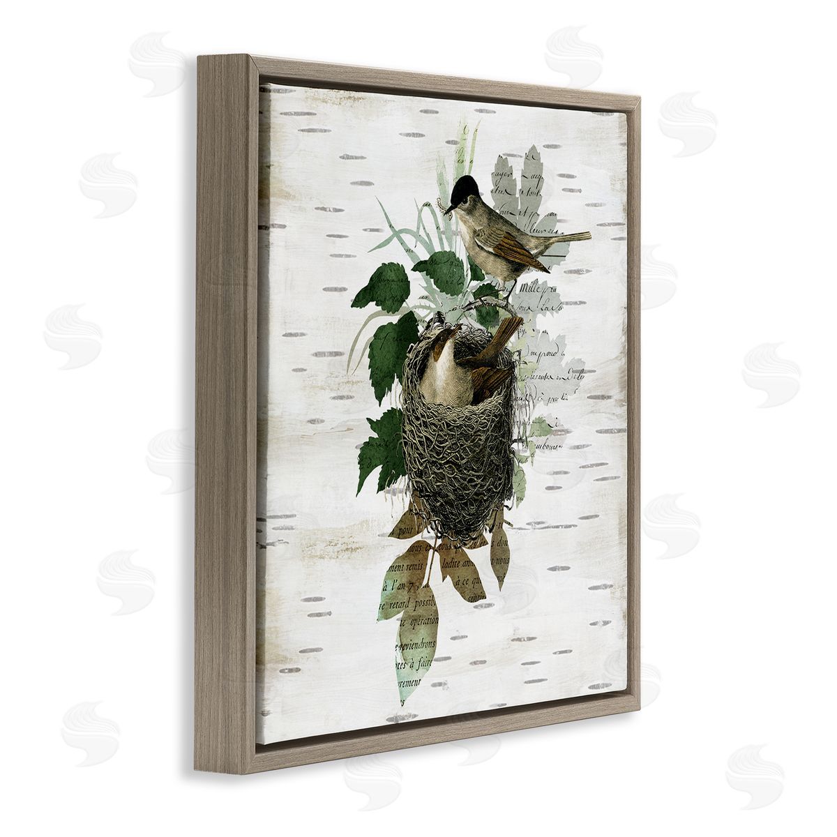 Birds in Vintage Nest Brown Floating Frame Canvas Wall Art, Home Decor by Susan Arnot
