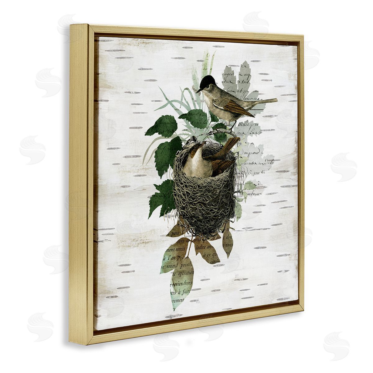 Birds in Vintage Nest Gold Floating Frame Canvas Wall Art, Home Decor by Susan Arnot