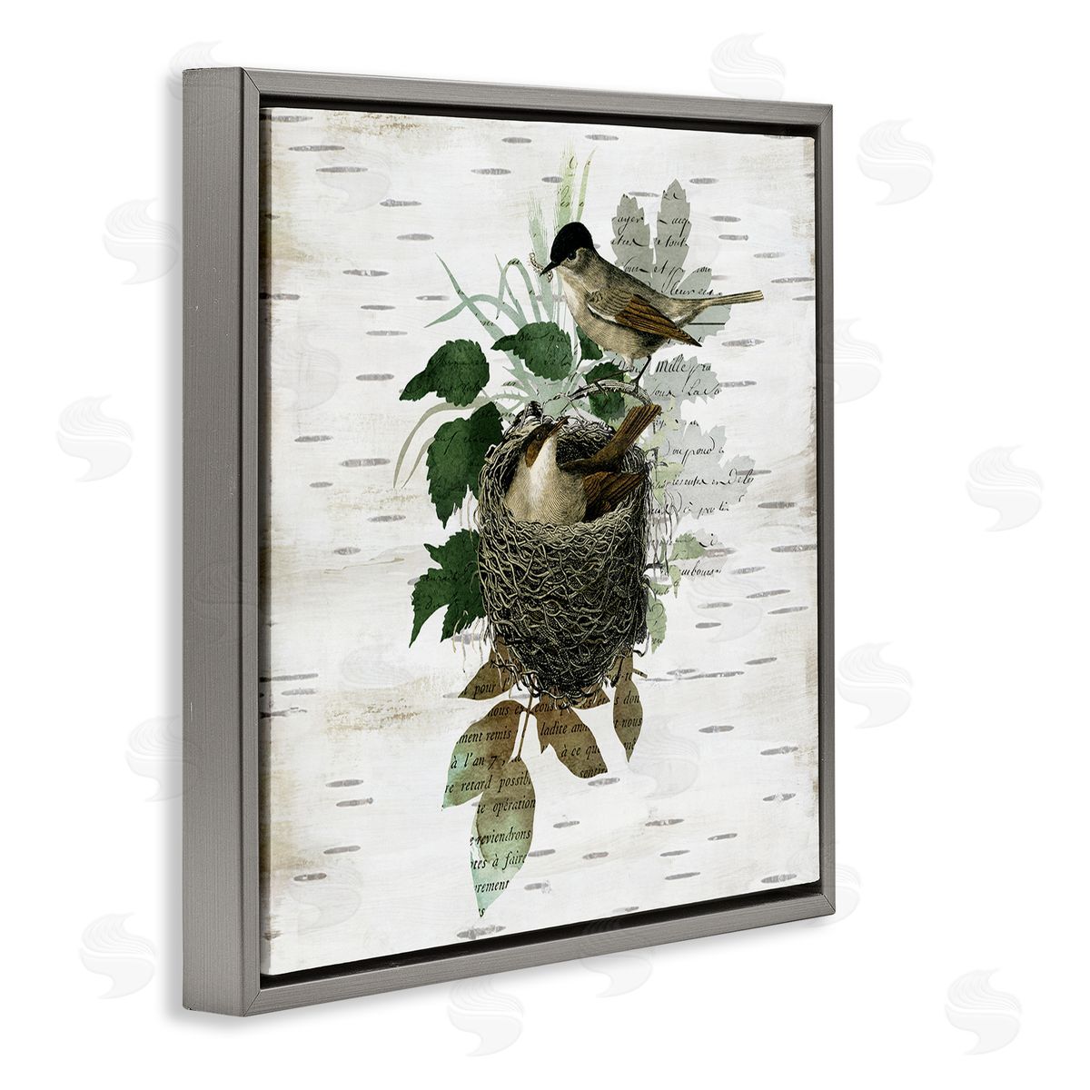 Birds in Vintage Nest Grey Floating Frame Canvas Wall Art, Home Decor by Susan Arnot