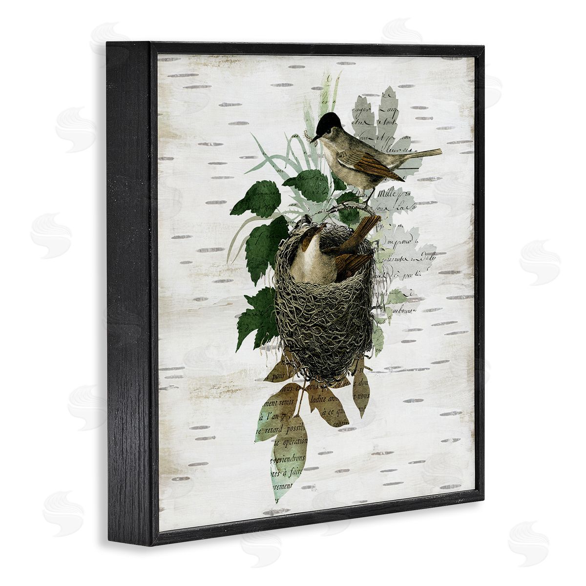 Birds in Vintage Nest Black Frame Print Wall Art, Home Decor by Susan Arnot