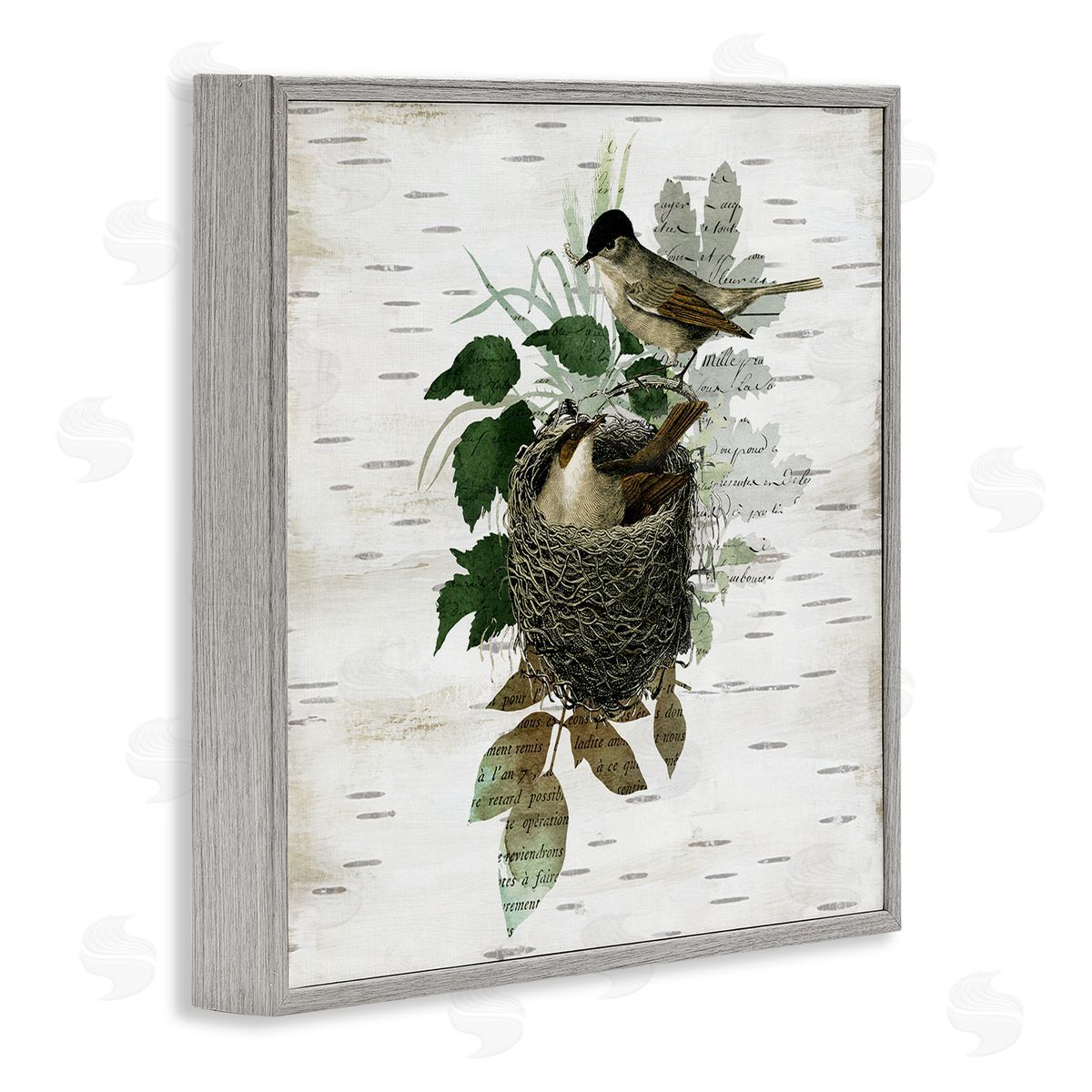 Birds in Vintage Nest Grey Frame Print Wall Art, Home Decor by Susan Arnot
